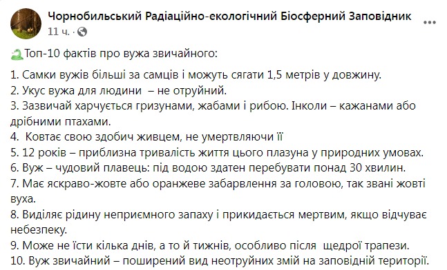 Скриншот из Фейсбука Чернобыльского заповедника 